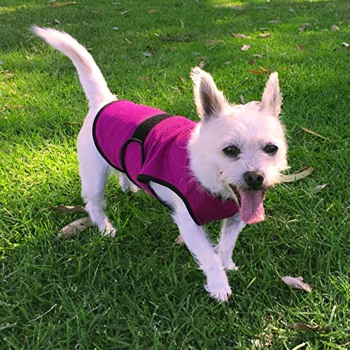 DOGZSTUFF Dog Cooling Vest. Lightweight Jacket with Evaporative Cool Microfiber Technology, UV Protection Shirt for Beach, Sizing for Small, Medium and Large Dogs (XS, Dark Blue)