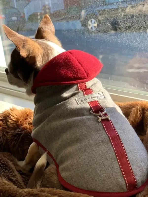 Gray Flannel Teacup Warm Tiny Dog Winter Coat | 3 LBS to 8 LBS